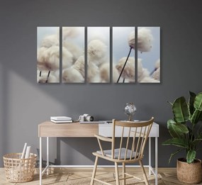 5-dielny obraz arktické kvety bavlny Varianta: 100x50
