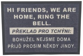 Rohožka HI FRIENDS 40x60 cm – na von aj na doma, 40x60, šedá, GDmats