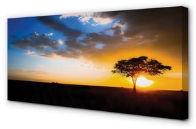 Obraz canvas mraky strom 120x60 cm