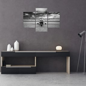 Obraz - Lietadlo čiernobiele (90x60 cm)