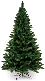 Borovica so šiškami- 250 cm