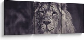 Obraz leva (s hodinami) (90x30 cm)