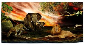 Sablio Uterák Zvieratá zo Sahary - 50x100 cm