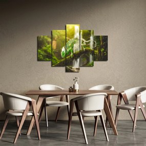 Obraz chameleóna (150x105 cm)