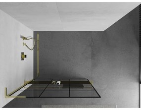 Mexen Kioto+ L, sprchová zástena Walk-In s poličkou a vešiakom 120 x 200 cm, 8mm číre sklo čierny vzor, zlatý lesklý profil,800-120-123-50-77