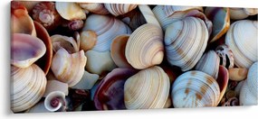 Obraz mušlí (120x50 cm)