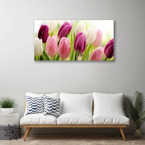 Obraz Canvas Tulipány kvety príroda lúka 120x60 cm