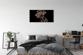 Obraz na plátne hnedý pes 120x60 cm