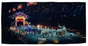 Sablio Uterák Cirkus - 30x50 cm