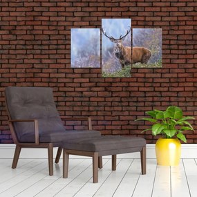 Obraz - Jeleň v krajine (90x60 cm)