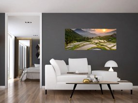 Obraz - Ryžové terasy (120x50 cm)