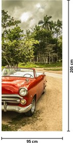 Fototapeta na dvere - Auto veterán v prírode (95x205cm)