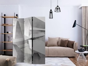 Artgeist Paraván - Frozen wings [Room Dividers]