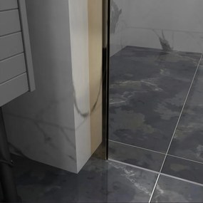 Erga Paris, sprchová zástena Walk-In 60x200 cm, 8mm šedé sklo, zlatý lesklý profil, ERG-V02-PARIS-060x200-GR-GD