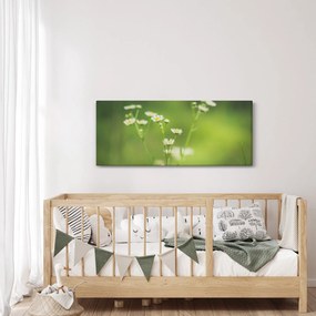 Obraz Sedmokrásky (120x50 cm)