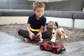 DRIVERO spray racers