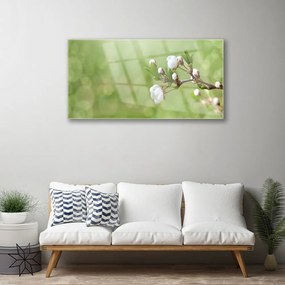 Obraz na skle Kvety 120x60 cm