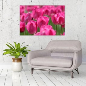 Obraz - Ružové tulipány (90x60 cm)