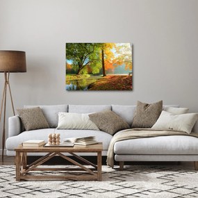 Obraz - Pokojná jesenná krajina (70x50 cm)
