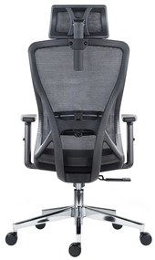 Kancelárska ergonomická stolička Neoseat FLEX PRO — čierna, nosnosť 150 kg