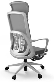 Ergonomická kancelárska stolička Liftor Orca, sivá