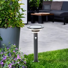 Brilliant - LED Solárna lampa so senzorom GARVINA LED/3W/3,7V 45 cm IP44 čierna