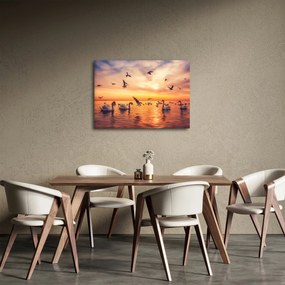 Obraz - Labute (70x50 cm)