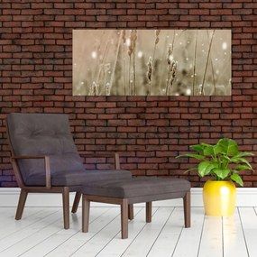 Obraz - Harmonická lúka (120x50 cm)