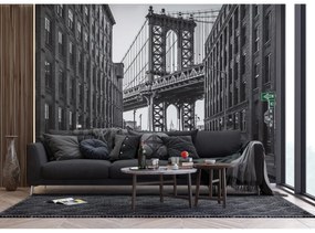 Fototapeta XXL New York 360 x 254 cm, 4 diely