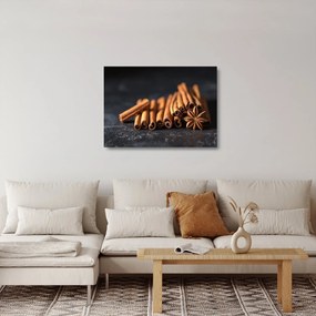 Sklenený obraz škorice (70x50 cm)
