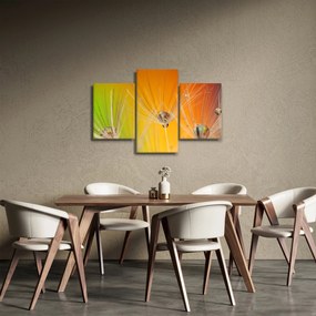 Obraz kvapiek na rastline (90x60 cm)