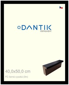 DANTIK rám na obraz 40x50 | FC černá vysoká (Plexi Čiré)