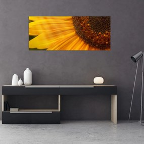 Obraz - Slnečnica (120x50 cm)