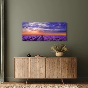 Obraz levanduľového pole (120x50 cm)