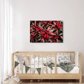 Obraz červených okvetných lístkov (90x60 cm)