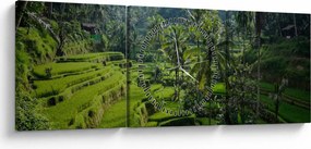 Obraz ryžových terás Tegalalang, Bali (s hodinami) (90x30 cm)
