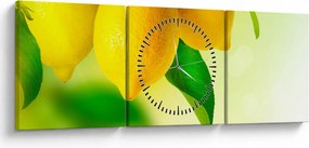 Obraz citrónov (s hodinami) (90x30 cm)