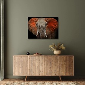 Obraz - Slony z Tsavo (70x50 cm)