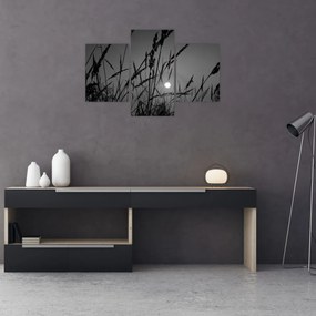 Obraz - Lúka so západom slnka (90x60 cm)