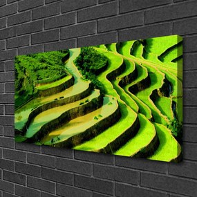 Obraz Canvas Pole ryža les umenie 120x60 cm