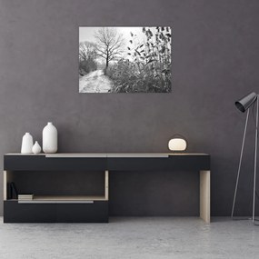 Obraz - Pole v zime (70x50 cm)