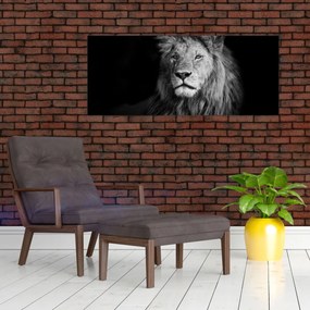 Obraz - Lev, čiernobiela (120x50 cm)