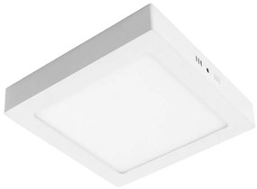 LED Stropné svietidlo GERRY LED/24W/230V 3000K