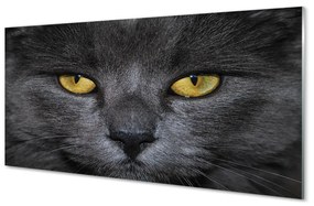 Obraz na akrylátovom skle Čierna mačka 125x50 cm