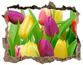 Samolepící nálepka na zeď Farebné tulipány nd-k-12652067