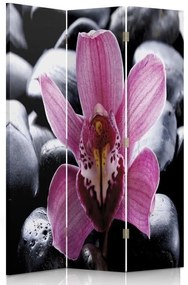 Gario Paraván Zen s kvetom orchidey Rozmery: 110 x 170 cm, Prevedenie: Otočný paraván 360°