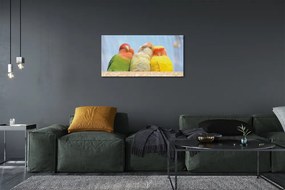 Obraz na plátne farebný papagáj 120x60 cm