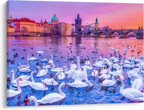 Obraz - Praha (70x50 cm)
