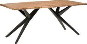 XXXLutz JEDÁLENSKÝ STÔL, akácia, čierna, farba vlašského orecha, 200/100/76 cm P & B - Online Only jedálne - 001630031302