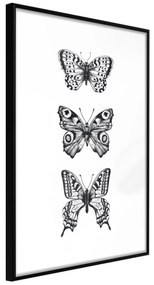 Artgeist Plagát - Three Butterflies [Poster] Veľkosť: 30x45, Verzia: Zlatý rám